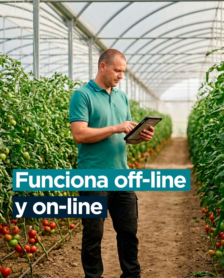 HispatecAGRO's tweet photo. 👷📊 La rentabilidad no está solo en producir más, sino en saber dónde y cómo se generan los costes.
Con #EFEMIS puedes:
📱 Trabajar online y offline
📈 Medir productividad por actividad y cuadrilla
💰 Optimizar costes
🧾 Automatizar la prenómina
🔗https://t.co/sZZi4bifid https://t.co/l6N227QfVR