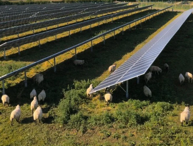 EnergyDigital tweet picture