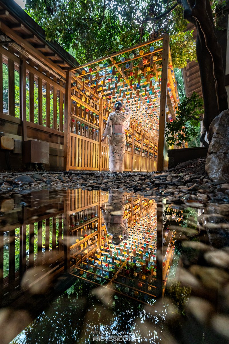Yuji_48's tweet photo. 雨上がりに現れる川越氷川神社の反転世界。 https://t.co/FOWx8mAyMV