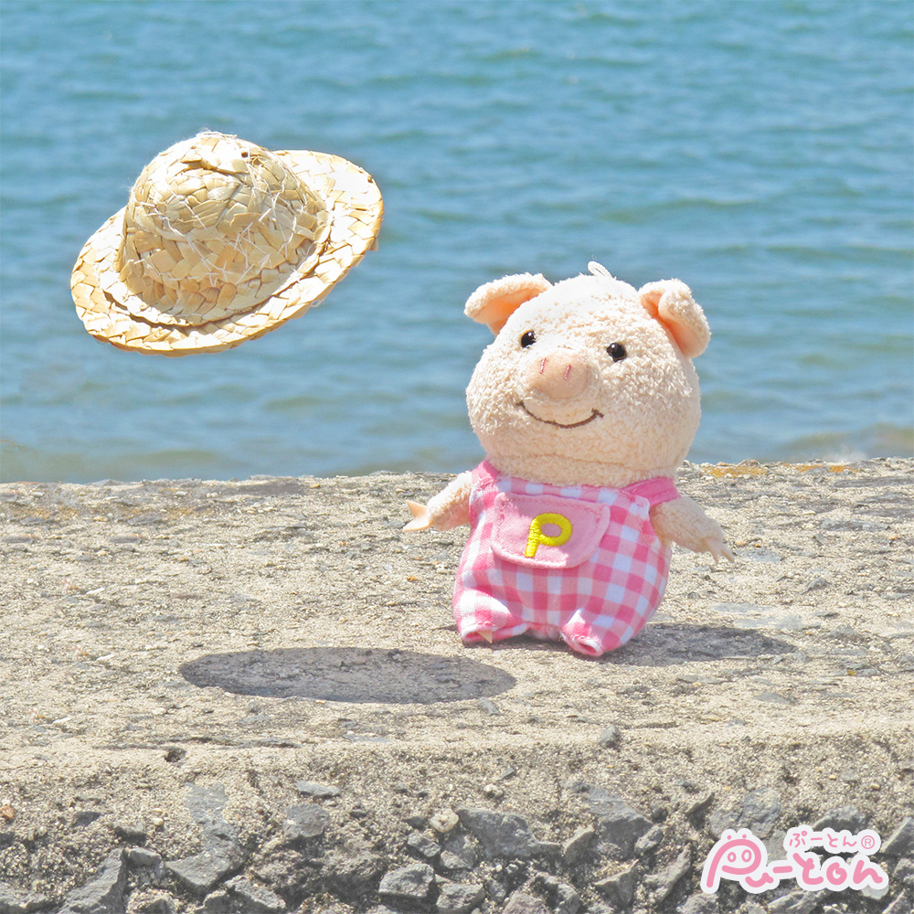 puuton_ndi's tweet photo. あ！飛んでっちゃう～👒

＃ぷーとん https://t.co/LjW0m5OZZC
