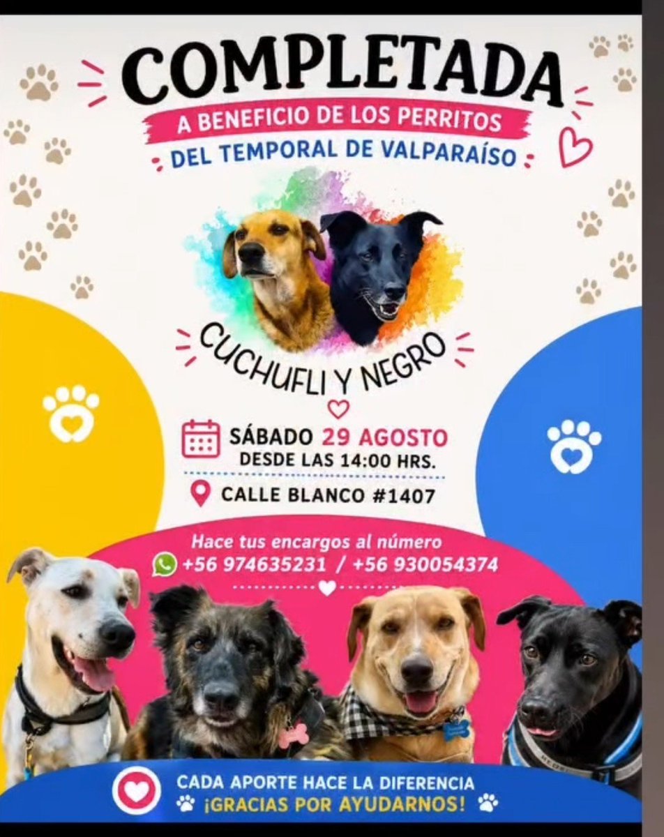Ru_lif's tweet photo. Chic@s , la agrupación @Cuchufli_YNegro de Instagram que se hizo cargo de refugiar a los comunitarios de valpo en albergue y ha estado dando en adopción a muchos de esos viejitos,está haciendo una campaña de venta de completos para este sábado, la meta es 200 completos, te sumas? https://t.co/9z29DGhmKf