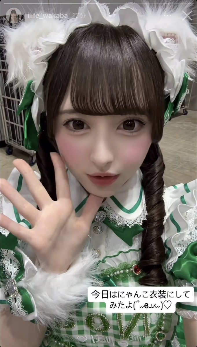 manoa_0707's tweet photo. 今日こねこさんで神😭
需要わかりすぎてるのあにゃんこさんありがとうございます。
 #のあへのあい  #のあにゃんず https://t.co/cz0chXxnHe