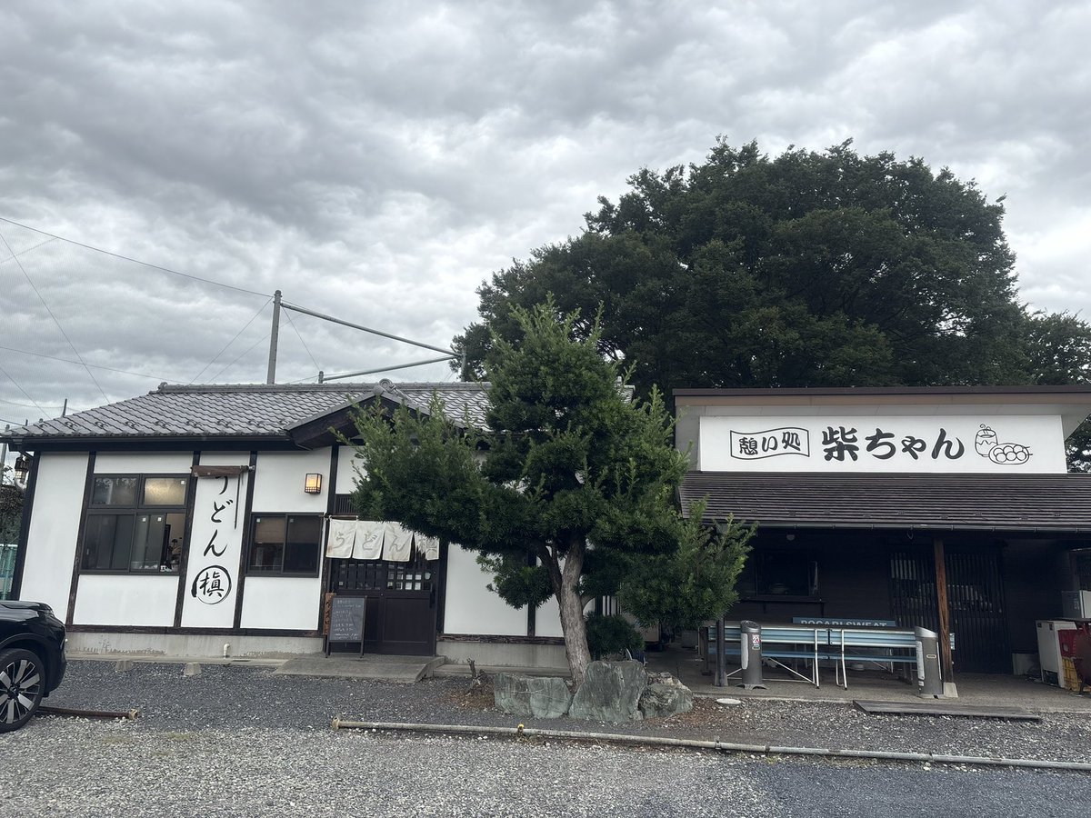 moya_tera's tweet photo. 『うどん 槇』
新座市内にあるこちらのお店。
肉汁うどん(小)とごぼう天を発注です。
小でも400gもあり、武蔵野うどんの歯応えで満足感のある味わい。
塩味の強い汁に分厚い豚バラが麺をかっさらいますよ。
具沢山で揚げたての天ぷらは最高
最後は自家製の激辛一味とすりごまで味変します
〜���ヤてら〜 https://t.co/QFUNvK3QoX