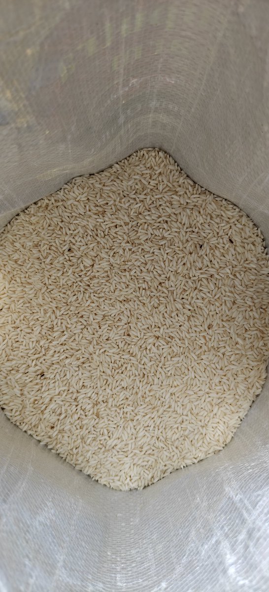 nikku28al's tweet photo. @InstamartS Disappointed with @SwiggyCares ! Received a packet of rice infested with bugsfrom Instamart today.This is completely unhygienic and unacceptable.Please resolve this and process my refund immediately.order id# 246777245139802 https://t.co/qTcXSB7ytV