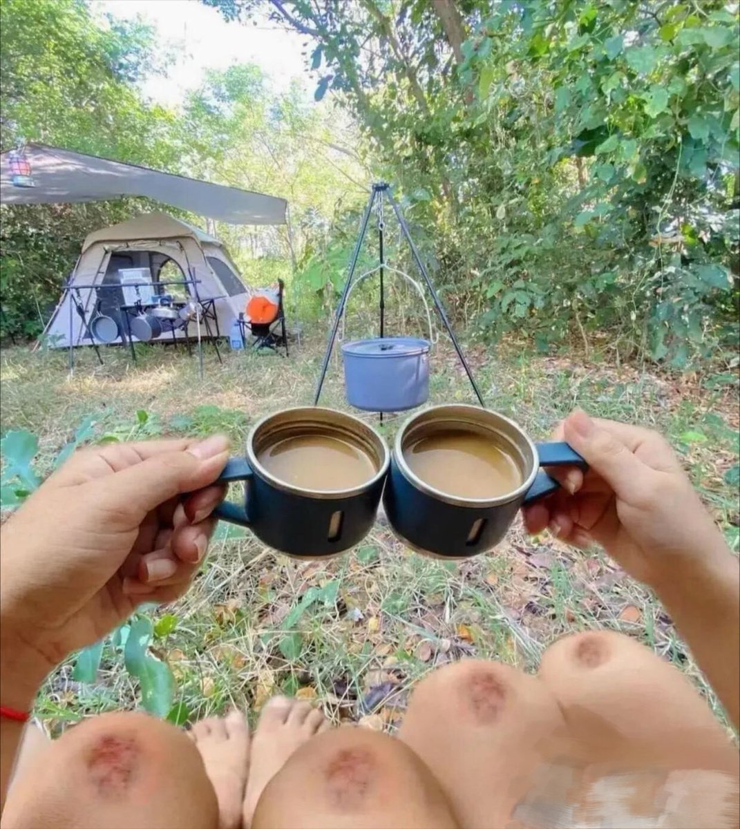 petiz254990's tweet photo. Woke up to mist curling around pine trees, coffee in hand, no alarm, just the crunch of campfire ash under boots. This is how you reset https://t.co/I9IknCUKss