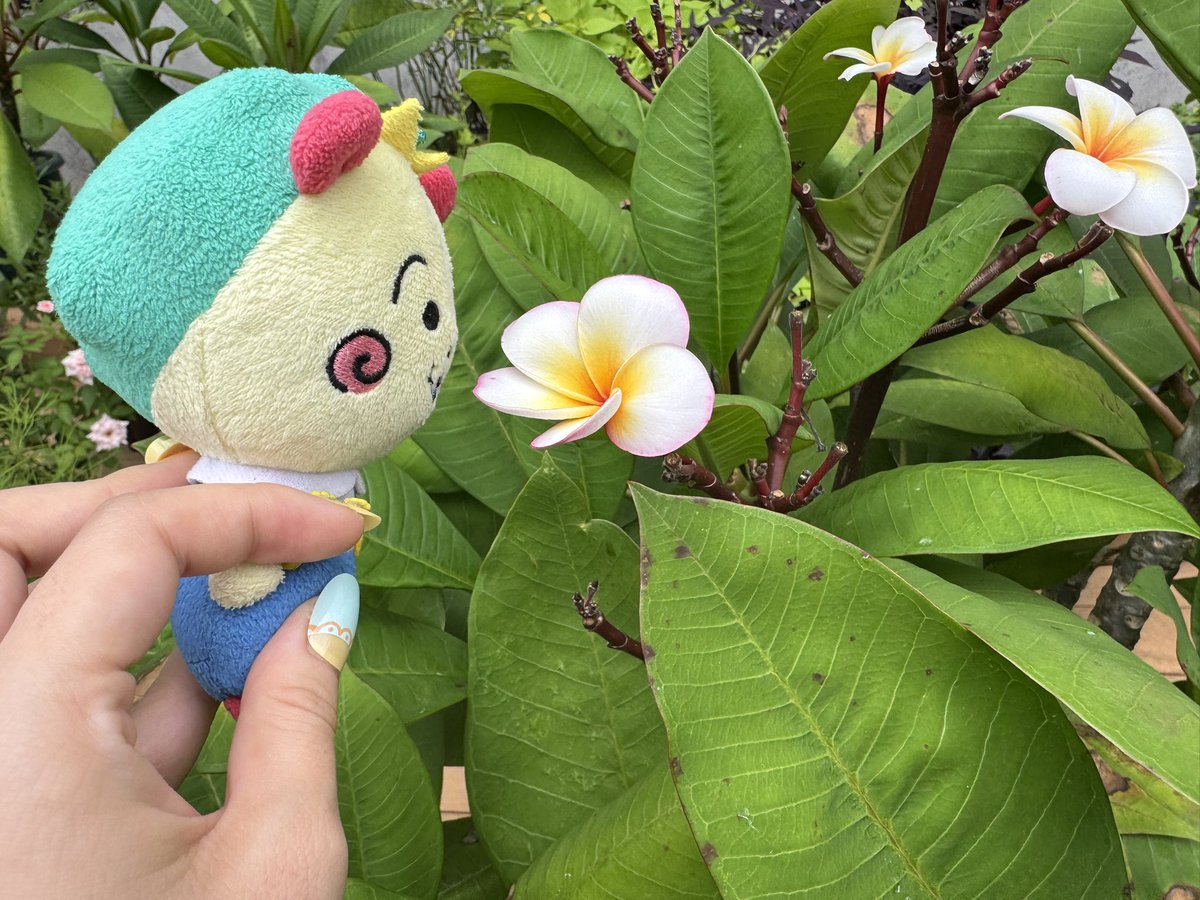 re_ka_0's tweet photo. ようやく来れたよ♡
 #コジコジびより  #はなびより https://t.co/gl3Cu8WC8o