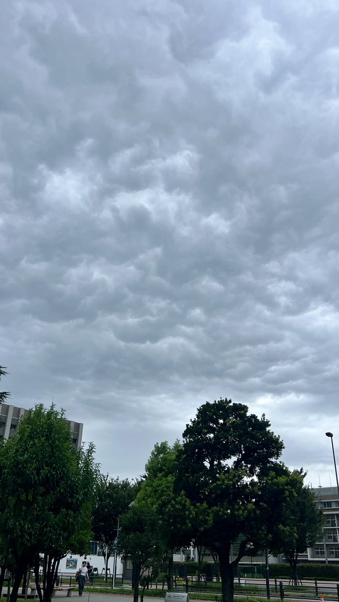 johnconnerbob's tweet photo. 乳房雲！ https://t.co/lkGoe7vWg9