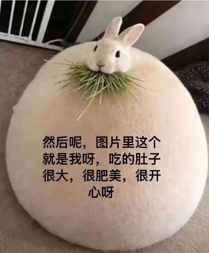 White_Bailuo's tweet photo. @RimoOvO 所以像我这种社交恐怖份子不仅捏了脸还进行了久抱 https://t.co/iZEgBNSxtb