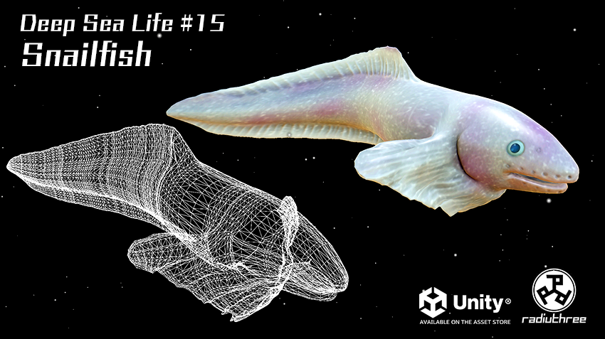 radiuthree's tweet photo. 魚類の中でもっとも深い海に住む種のひとつ。"シンカイクサウオ"の3DモデルをUnityアセットストアにて販売中。ぜひご覧ください！
@UnityAssetStore  https://t.co/UMFaGCA8Pq

#3DAssets #MarineLife #AssetStore #unity #unity3d #Snailfish #シンカイクサウオ #deepsealife #deepsea #深海生物 #深海