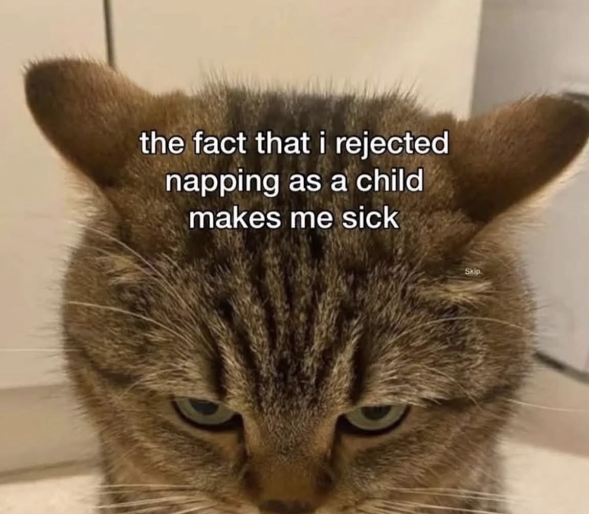 RespectfulMemes's tweet photo. https://t.co/XNOEIYCf0g