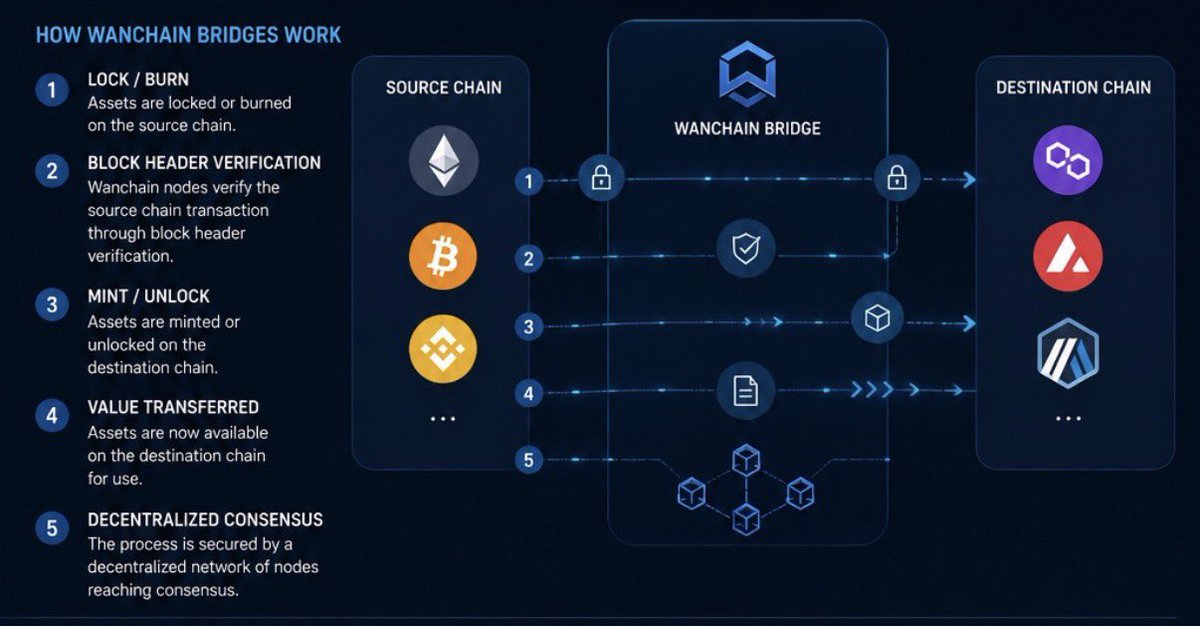 Finance_Flo's tweet photo. Wanchain is connecting different blockchains in fully decentralized way 🔗🌍
And the best part, every transaction on the bridge matters for $WAN holders. More usage = more buy backs 📈
$WAN #Wanchain #Web3 #DeFi https://t.co/oVuZnsil2N