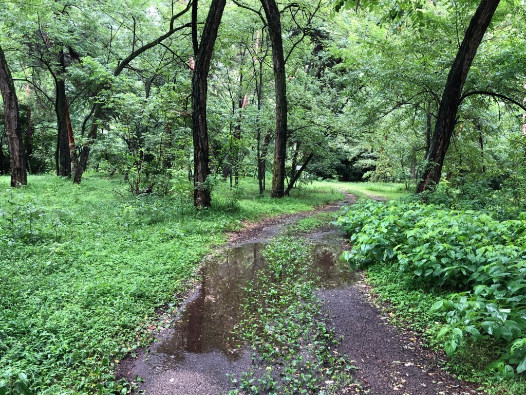 hisuruma's tweet photo. 昨晩から激しい雷雨が続き昼頃にやっと落ち着きました。利根川は台風のときのように増水しています。キャンプ場に被害はありませんでした
＃ひするまキャンプ場 https://t.co/gkDByGzAV4