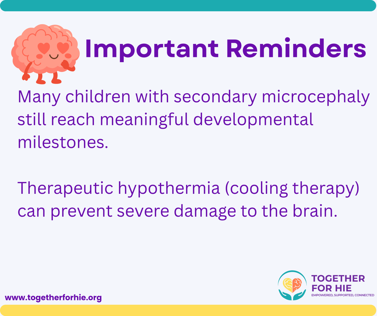 T4HIE's tweet photo. Children who experience Hypoxic-Ischemic Encephalopathy (HIE) may develop secondary microcephaly, where head growth slows down after birth due to brain injury. 

Swipe to learn more.

#HIE #HIEAwareness #TogetherforHIE https://t.co/PRMwikWBmH