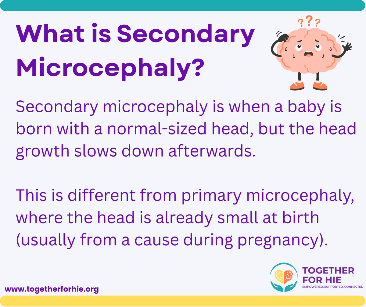 T4HIE's tweet photo. Children who experience Hypoxic-Ischemic Encephalopathy (HIE) may develop secondary microcephaly, where head growth slows down after birth due to brain injury. 

Swipe to learn more.

#HIE #HIEAwareness #TogetherforHIE https://t.co/PRMwikWBmH
