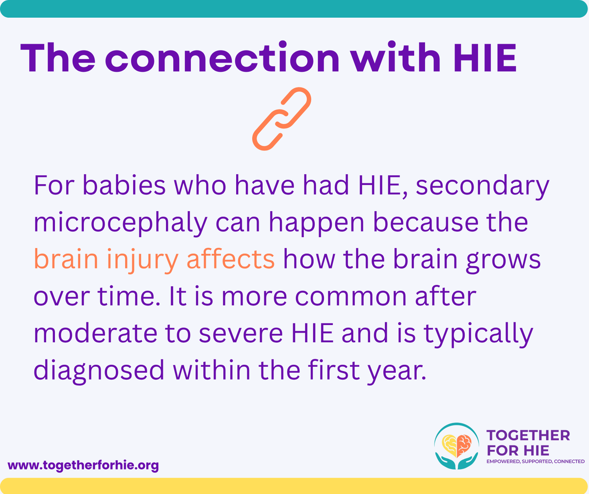 T4HIE's tweet photo. Children who experience Hypoxic-Ischemic Encephalopathy (HIE) may develop secondary microcephaly, where head growth slows down after birth due to brain injury. 

Swipe to learn more.

#HIE #HIEAwareness #TogetherforHIE https://t.co/PRMwikWBmH