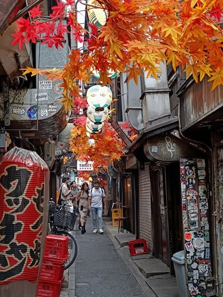 mia830527's tweet photo. 新宿の路地に入ると、昔ながらの小さな飲食店が並ぶ。
都会の真ん中なのに、昭和に戻ったような気分になる。
どの店もカウンター席だけのこぢんまりとした作り。
炉端焼きの路地には活気と温かさがある。
歩くだけで、昔の東京の空気と人の温かさを感じられる https://t.co/xHQAyBVoeP