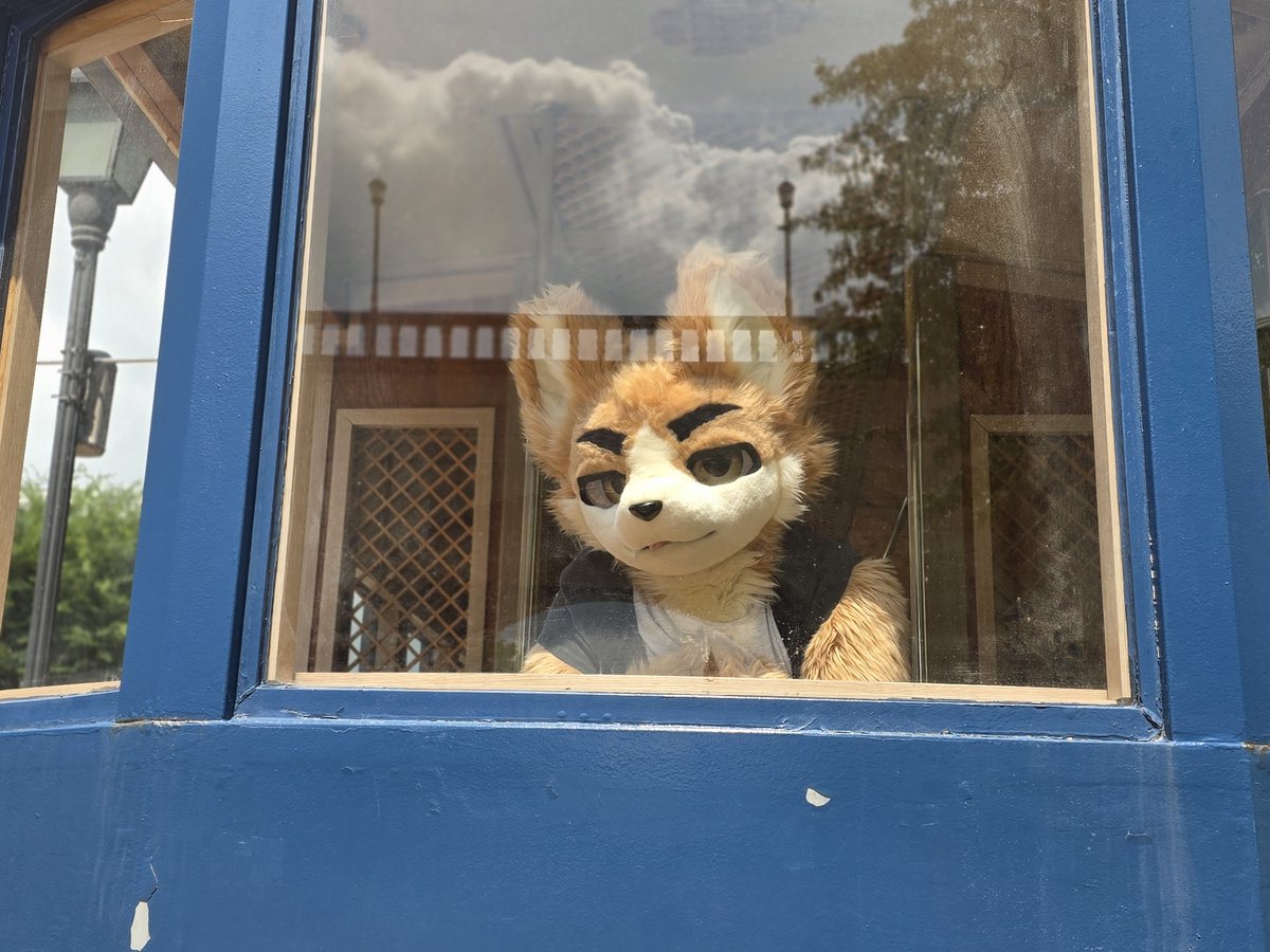 oscar_fursuit's tweet photo. 칙칙폭폭...💨 https://t.co/X8NHhu1BIl