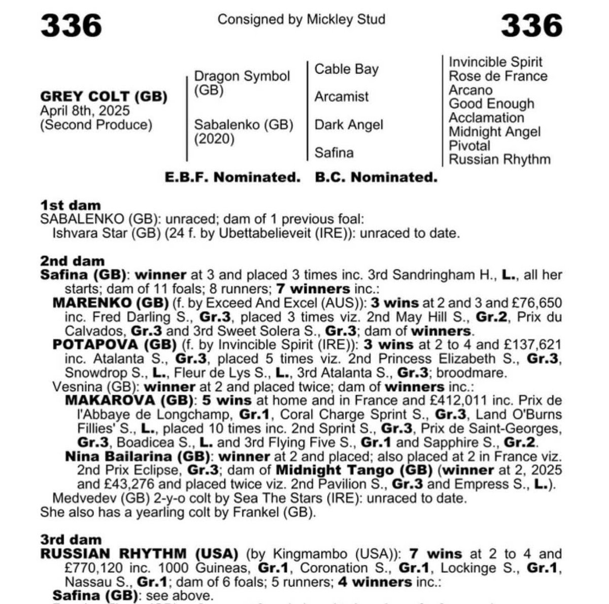 DaveLoughnane_'s tweet photo. PURCHASE 🐎
Grey colt - Dragon Symbol x Sabalenko 

📞Get in touch for more info 

@GoffsUK Premier Yearling Sale https://t.co/Lo8T28CfEW