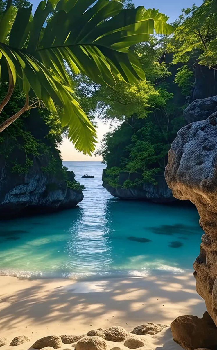 Leonor08159041's tweet photo. Good morning ☕️🌿🍃
Enjoy your day 🫶💋 https://t.co/m1QESfS323