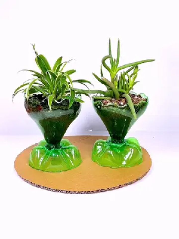 RemiMayhewhgwg's tweet photo. Una botella de plástico usada convertida en una maceta de plantas Reutilizar nunca fue tan creativo y útil! https://t.co/tkgYB2LtOG
