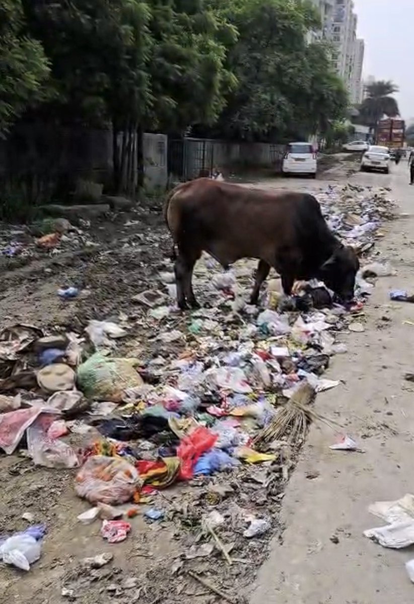 mayankjha76's tweet photo. @CeoNoida @CeoNoida @InduPrakashPCS ये है आपके स्वच्छता का प्रतीक? खुले में कूड़ा फेके आपका ठेकेदार वो भी उस मुहाने पर सेक्टर ७५ के जिसको आपने जान बूझ के प्राइवेट सेक्टर बनाया है! आख���िर ठेकेदार पर इतनी कृपा क्यों @ombirlakota @myogiadityanath @PankajSinghBJP @SwaachBharat https://t.co/jp5AsHXPJH