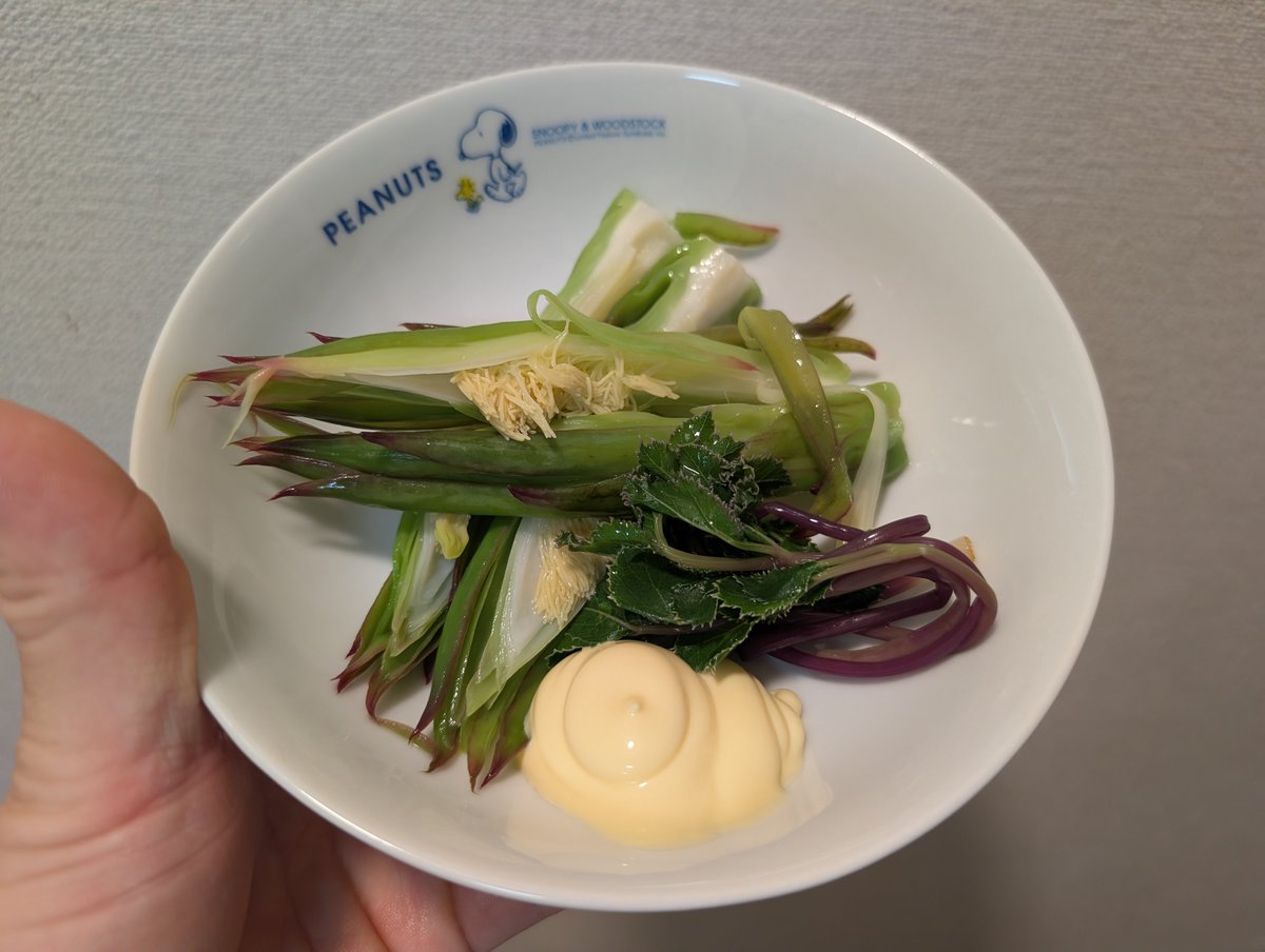 naze6622's tweet photo. ドラゴンフルーツの蕾ってめっちゃ美味しいのよ。。！
オクラみたいにネバネバしてて、食感はアスパラガス https://t.co/ZVLDLvgxb6