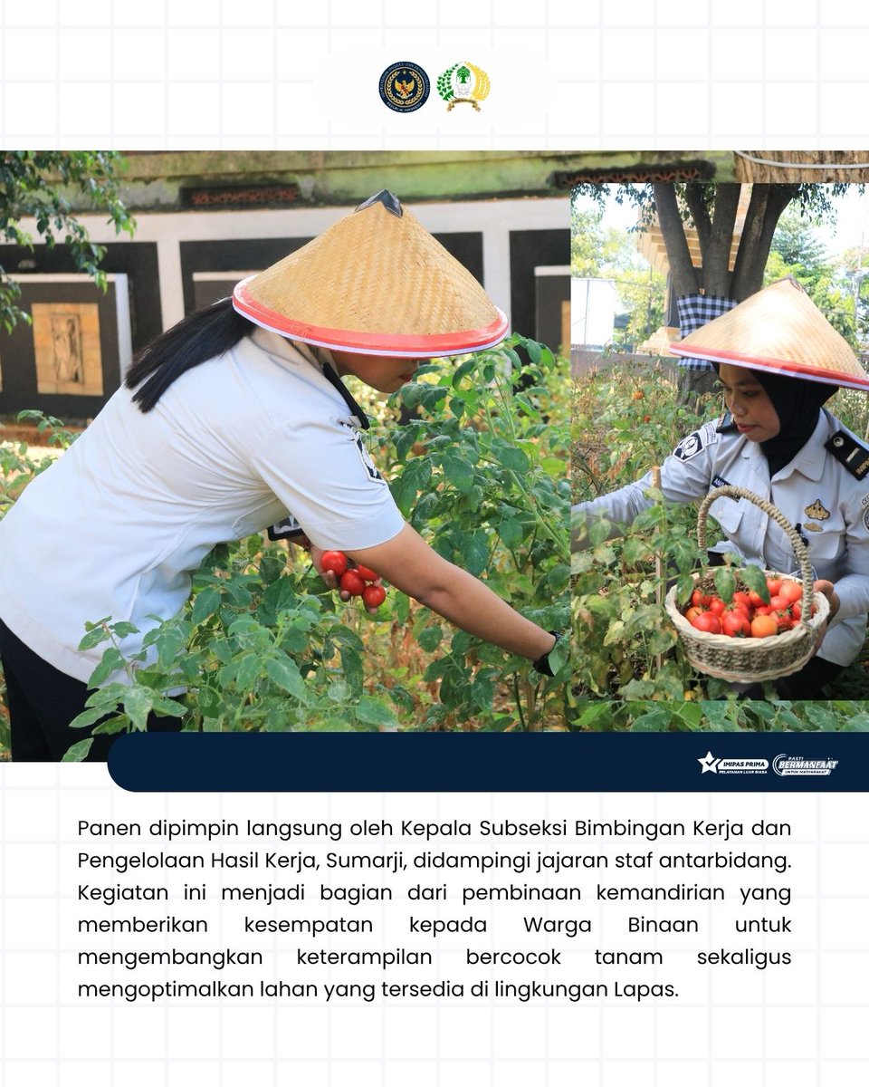 PemudaIia's tweet photo. Budidaya Berhasil, Lapas Pemuda Madiun Panen Tomat Dukung Ketahanan Pangan

Simak Infografis diatas Ya..

Kami PESILAT (ProfEsional SInergi LoyAl Transparan)

#ImipasSetahunBergerakBerdampak #SetahunBerdampak #Kemenimipas #ImipasPrima #Ditjenpas https://t.co/sFuCtghDDX