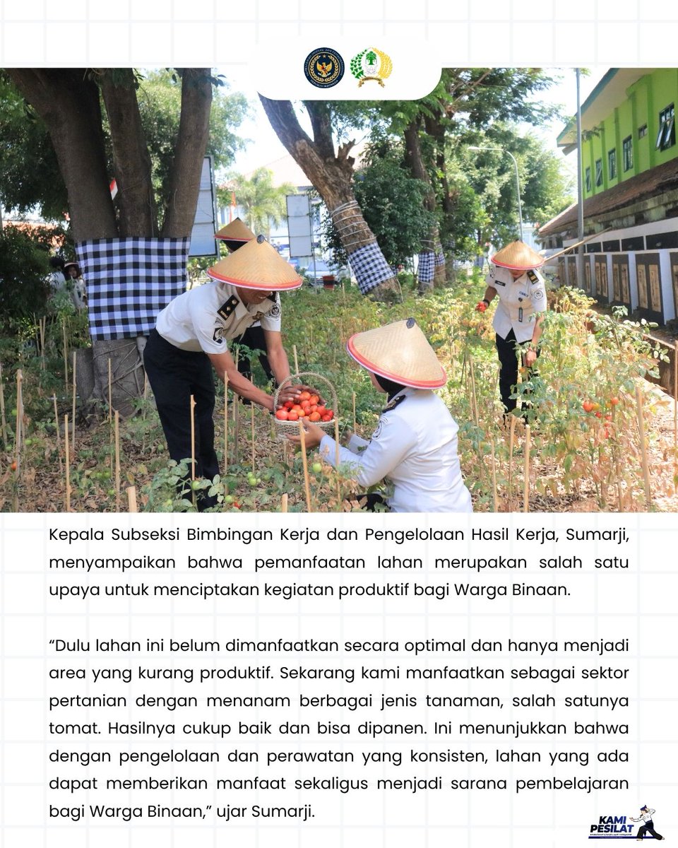 PemudaIia's tweet photo. Budidaya Berhasil, Lapas Pemuda Madiun Panen Tomat Dukung Ketahanan Pangan

Simak Infografis diatas Ya..

Kami PESILAT (ProfEsional SInergi LoyAl Transparan)

#ImipasSetahunBergerakBerdampak #SetahunBerdampak #Kemenimipas #ImipasPrima #Ditjenpas https://t.co/sFuCtghDDX