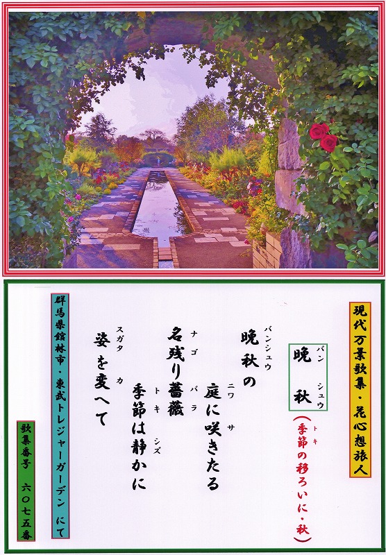 kashiopea01's tweet photo. 現代万葉歌集・花心想旅人・6075【晩秋】
【季節（ﾄｷ）の移ろいに・秋】
晩秋の
庭に咲きたる
名残り薔薇
季節は静かに
姿を変へて
まだ残暑が厳しいと言っても
季節の移ろいは早い。
秋を楽しむ余裕もなく
すぐ寒くなる。
四季の恵みを楽しめた
日本は何処へ・・・・。 https://t.co/DFPWaZ3cgp