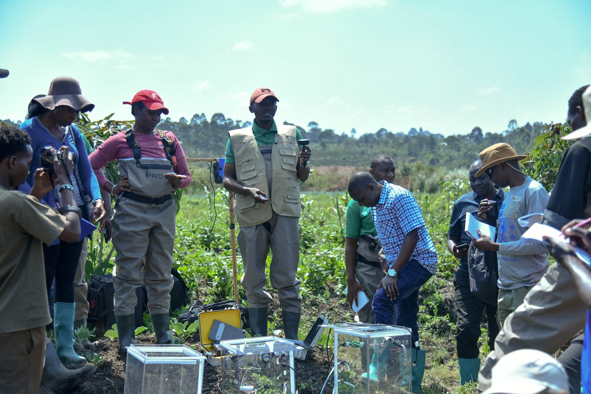FAOUganda's tweet photo. As the training continues, students gain hands-on experience measuring greenhouse gases from peatlands, including CO₂ &amp; CH₄, using low-cost, field-friendly chamber tech.

The session draws on work in 🇺🇬’s Nabajjuzi peatland, building local capacity for research &amp; #ClimateAction https://t.co/vrlqQoQi6T
