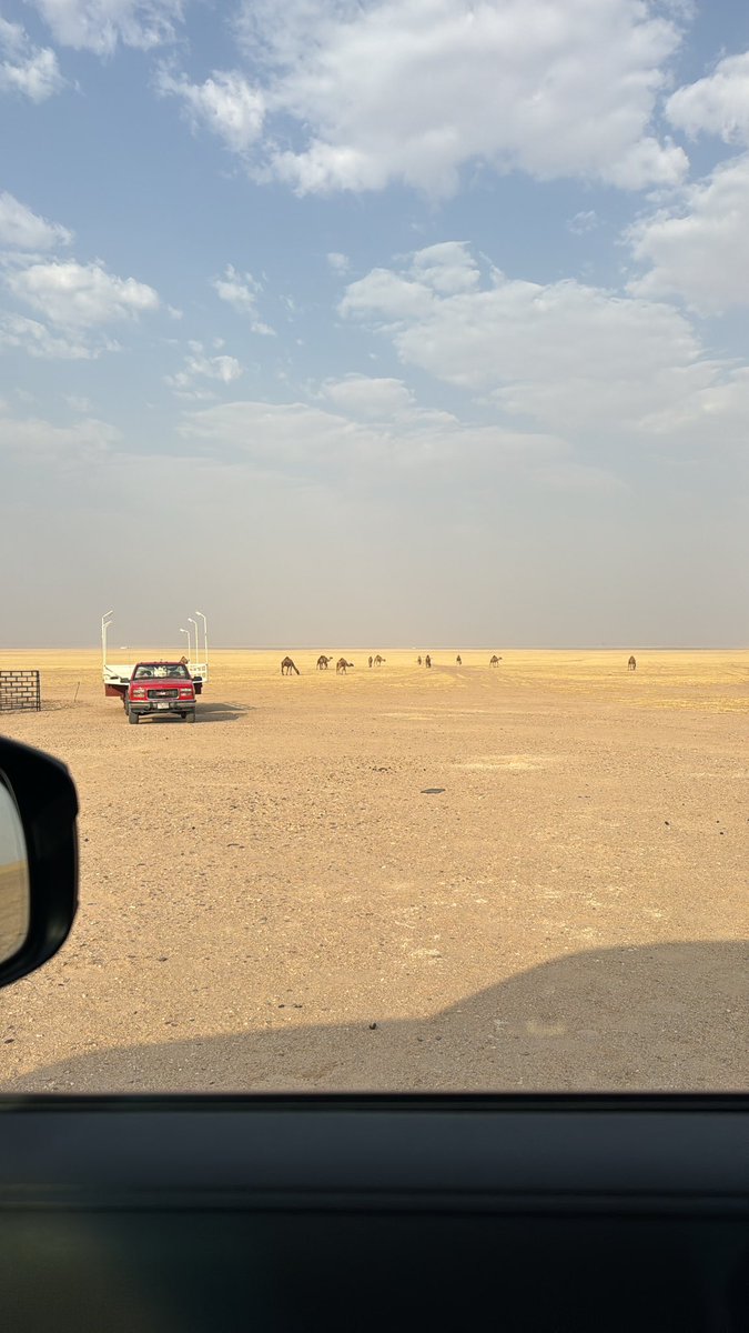 als_l53's tweet photo. أبعدوني عن مساحات المشاكل والطلايب
من صغر سني لا شفت الضول أمرّه وأتعدّا

وش لزومي في مفاهيم البشر مخطي وصايب
العقول مقسّمه .. والعاقل بعقله تقدّا 

استميل لعزلتي وابعد ولا عندي سبايب
غير حبّي للهدوء اللي عن اللجّه مبدّا

في مكان ٍ ما يمرّه غير ذعذاع الهبايب 
كل ما يطرق ضلوعي قلت هاذي وصفة الدّاء 

الخلا الخالي حبيبي كان باقي لي حبايب 
عقب خلّيت الحسايف من معاليقي تغدّا 

خاطري سامح وقلبي عن جميع الناس طايب
اكثر اللي كان طيّب .. تالي ايامه تردّا