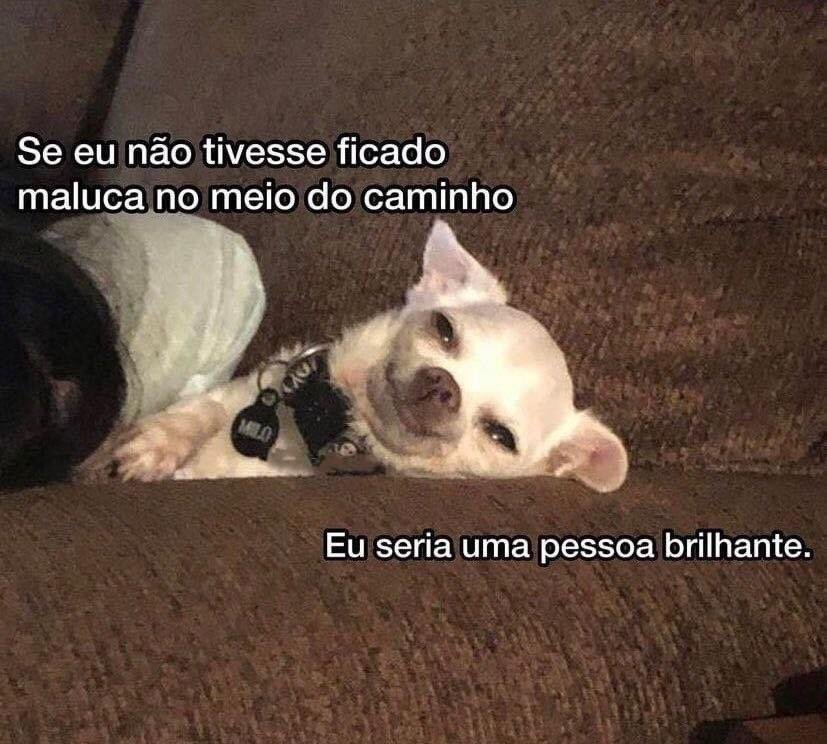 EtMeSolta's tweet photo. As vezes fico pensando que: https://t.co/6u9PoI2qnA