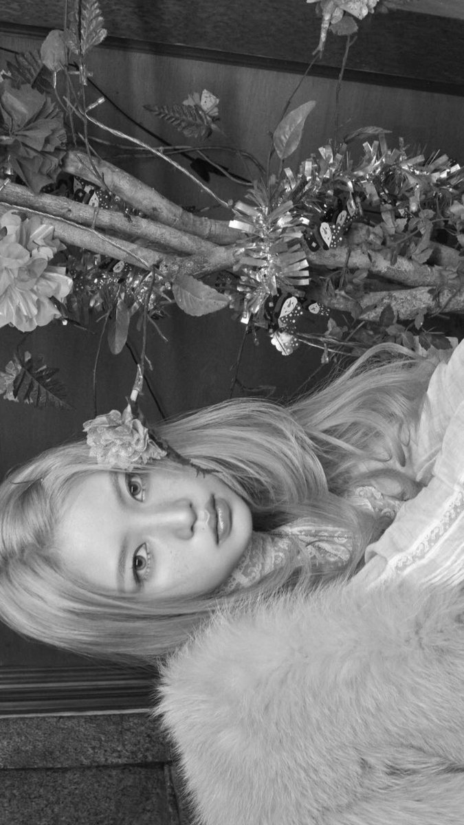 hvaeum's tweet photo. “paging alice... we found her looking glass, and it was me.” 𖤣𖥧𖡼𓋼 / a very specific kind of morning where you wake up periwinkle-eyed, find a teacup that fits your finger better than a ring, &amp; get intimidated by a dying flower (blue eyes for your troubles) ☻✿ https://t.co/0qLFT71Pos