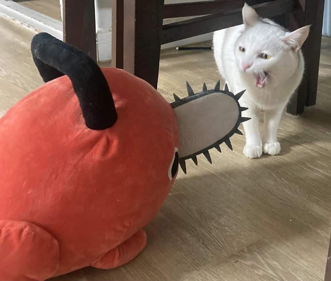 gatinarios's tweet photo. AAAAAAAAAAAA https://t.co/tTFHBVjJhQ