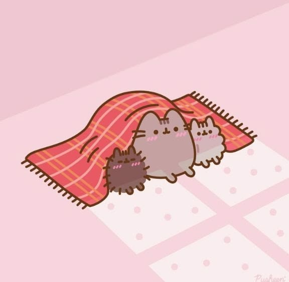 pusheencatfans's tweet photo. cozy https://t.co/3b9mGIfAS0
