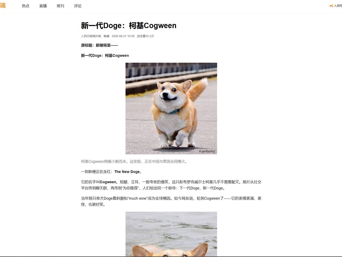 0xSolvyn's tweet photo. 一只名叫“Corgween”的新Doge？

https://t.co/YaMUO9pXDS https://t.co/0t65dQMwSi
