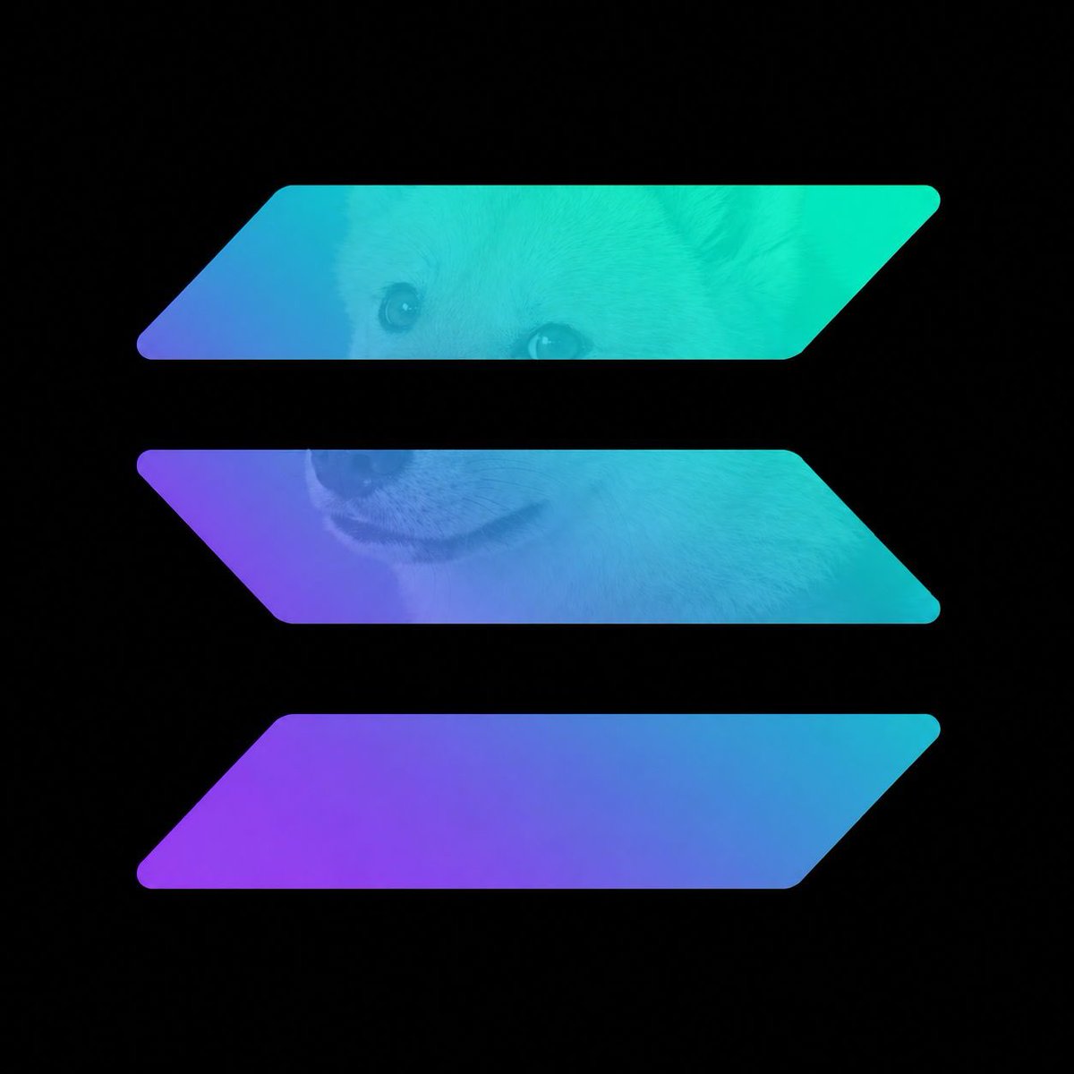 soljahboiiii's tweet photo. $Doge2 exclusively on @solana https://t.co/FP4bZXJC78