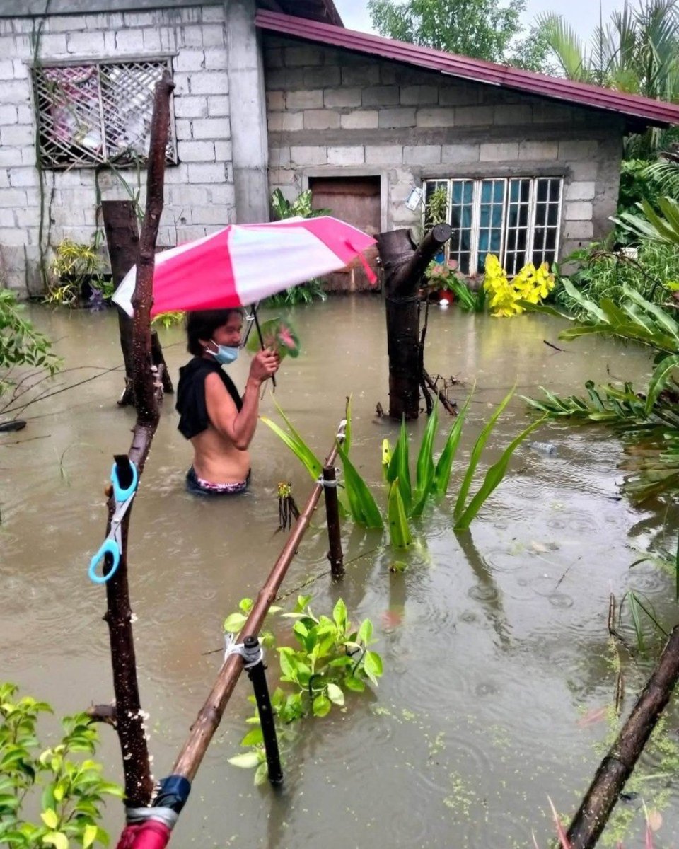 ChelDiokno's tweet photo. Nakagalit. Nakakalungkot. Hindi ito katanggap-tanggap.

Noong nakaraang linggo, nagsagawa tayo ng relief operations sa Pampanga kasama ng Akbayanihan. Nakita natin na hindi pa humuhupa ang baha, hindi makapasok ang mga estudyante at manggagawa, at halos tumigil na ang kabuhayan at ekonomiya ng buong komunidad.

Ito ang realidad na hinarap natin sa Department of Public Works and Highways (DPWH) sa kanilang budget hearing kahapon sa Kamara.

Iminungkahi natin ang pagkakaroon ng pambansang masterplan sa flood mitigation. Hindi na sapat ang pira-pirasong plano na nagbabago sa bawat administrasyon.

Kasabay nito, hinimok natin ang DPWH na paigtingin nila ang lifestyle checks, conflict-of-interest disclosures, at iba pang transparency measures para labanan ang korapsyon sa ahensya.

Hindi na dapat normal ang pagbabaha. Kailangan itong solusyunan ngayon na.

📸 Akbayanihan