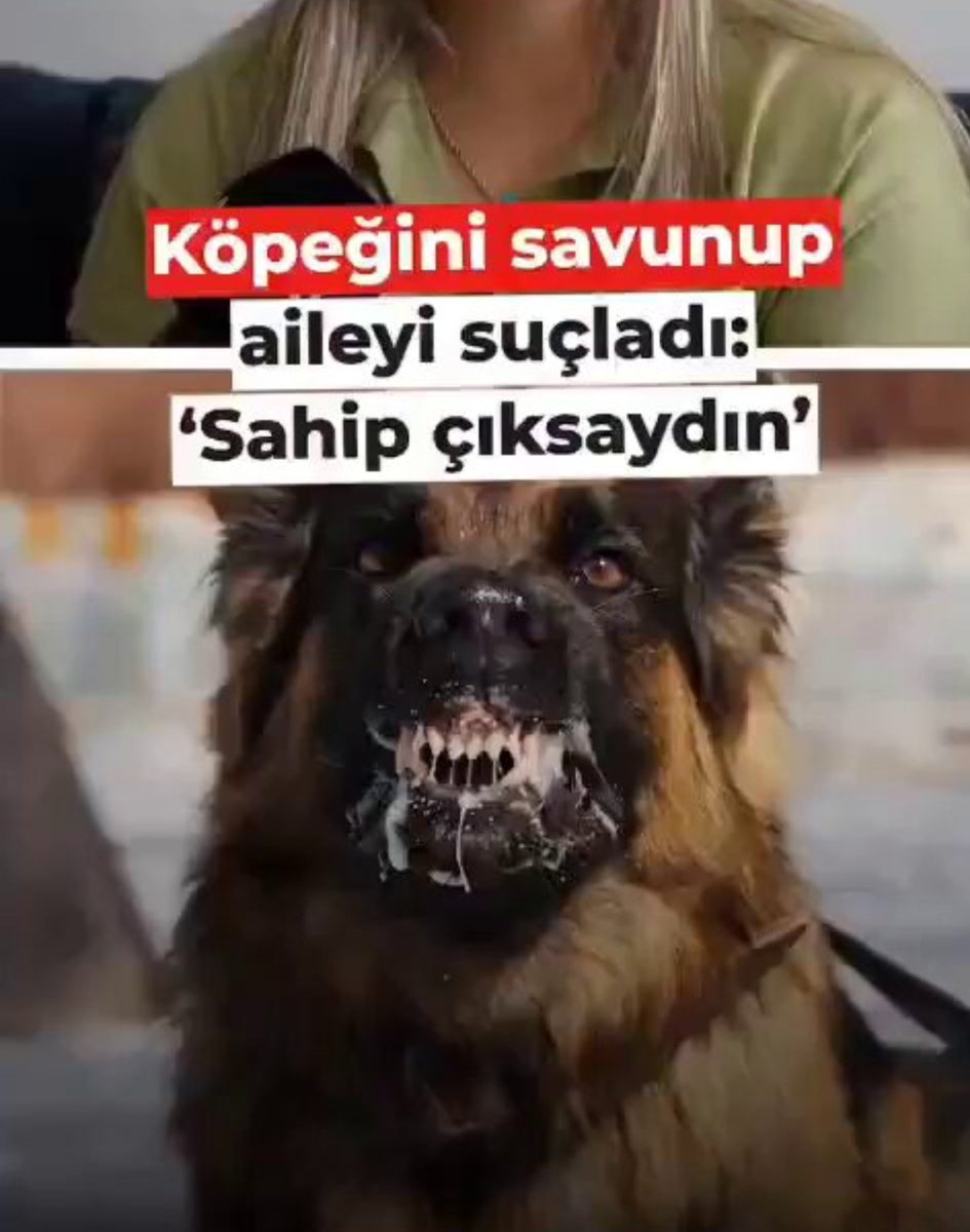 NiluferSabuncu's tweet photo. Hindistan, onlarca vatandaşın ölümüyle sonuçlanan afeti değil ama,

Günde en az 60 vatandaşının kuduz olup kudurarak ölmesini engelleyebilir.

Bugün hindistan'da yine 60 kişi kudurarak ölecek...

Afet yok, deprem yok, buzul yok, 
Başıboş köpek var ! 

Kutsal köpek !! https://t.co/gRchIlEdJH