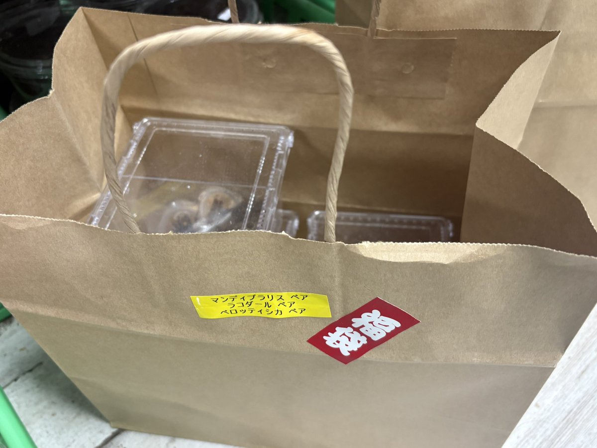 giraffa012's tweet photo. インセクトプロショップヒデ
福袋まだございます！
ご来店お待ちしております！！ https://t.co/YSUlV1Tvtc