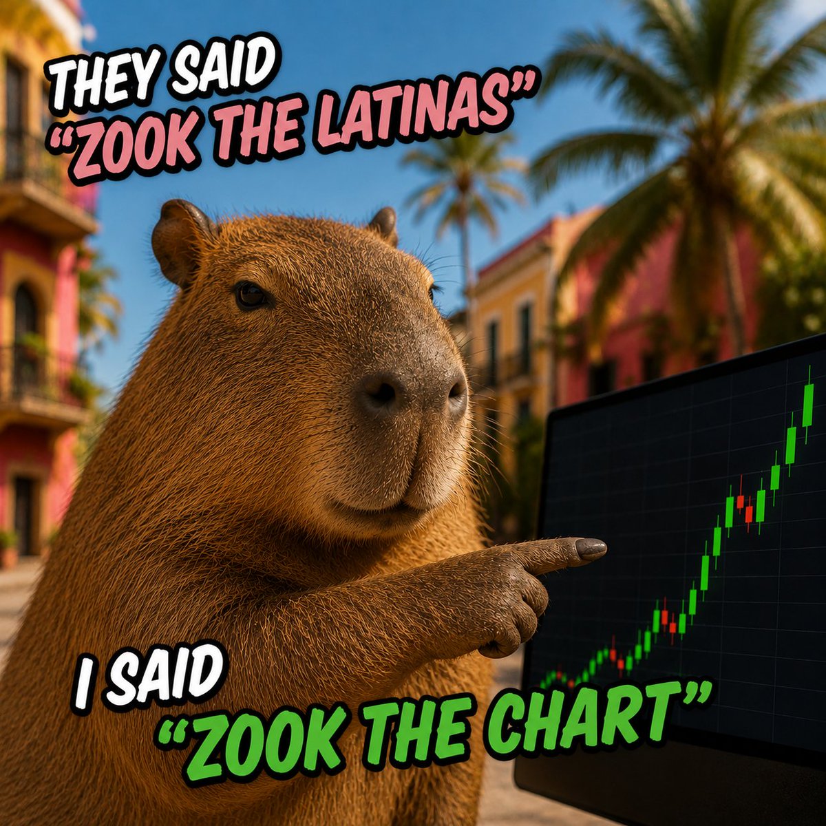 xKaaox's tweet photo. @marketcapybara https://t.co/jyq9HqtWoD