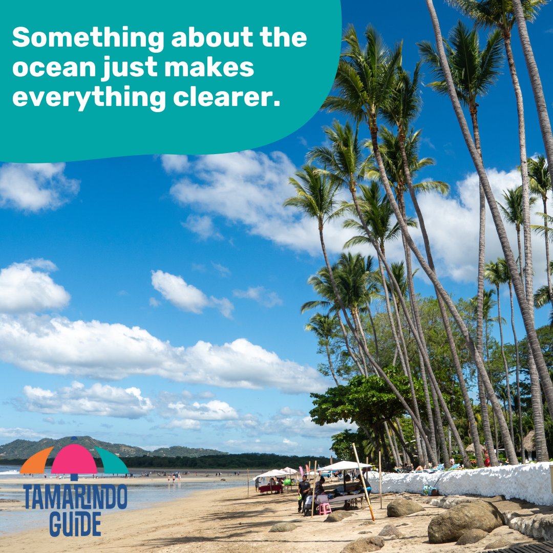 TamarindoGuide's tweet photo. Something about the ocean just makes everything clearer 🌊 #MentalClarity #OceanWisdom https://t.co/LsIzEA1oNc