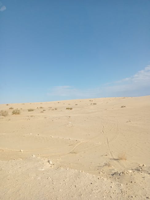 stevensmark5679's tweet photo. نهاية الأسبوع الحجز هل لديكم أريد مساج احترافي بانتظار الرد هل يوجد وقت zana beerly🍁 https://t.co/AX7pvcoghl