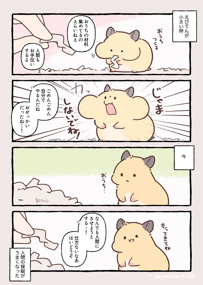 しらほし卯乃@2巻5月20日発売🌻🐹 on X: 
