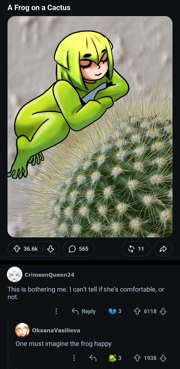 OmissBear's tweet photo. Yuppi on a cactus https://t.co/nPbq20Oq2x