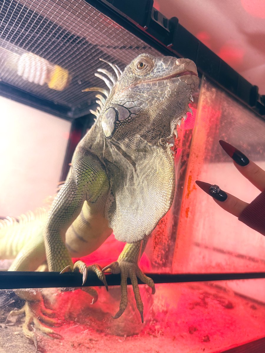 MiLk_00611's tweet photo. kwii https://t.co/0QDv1x2orA