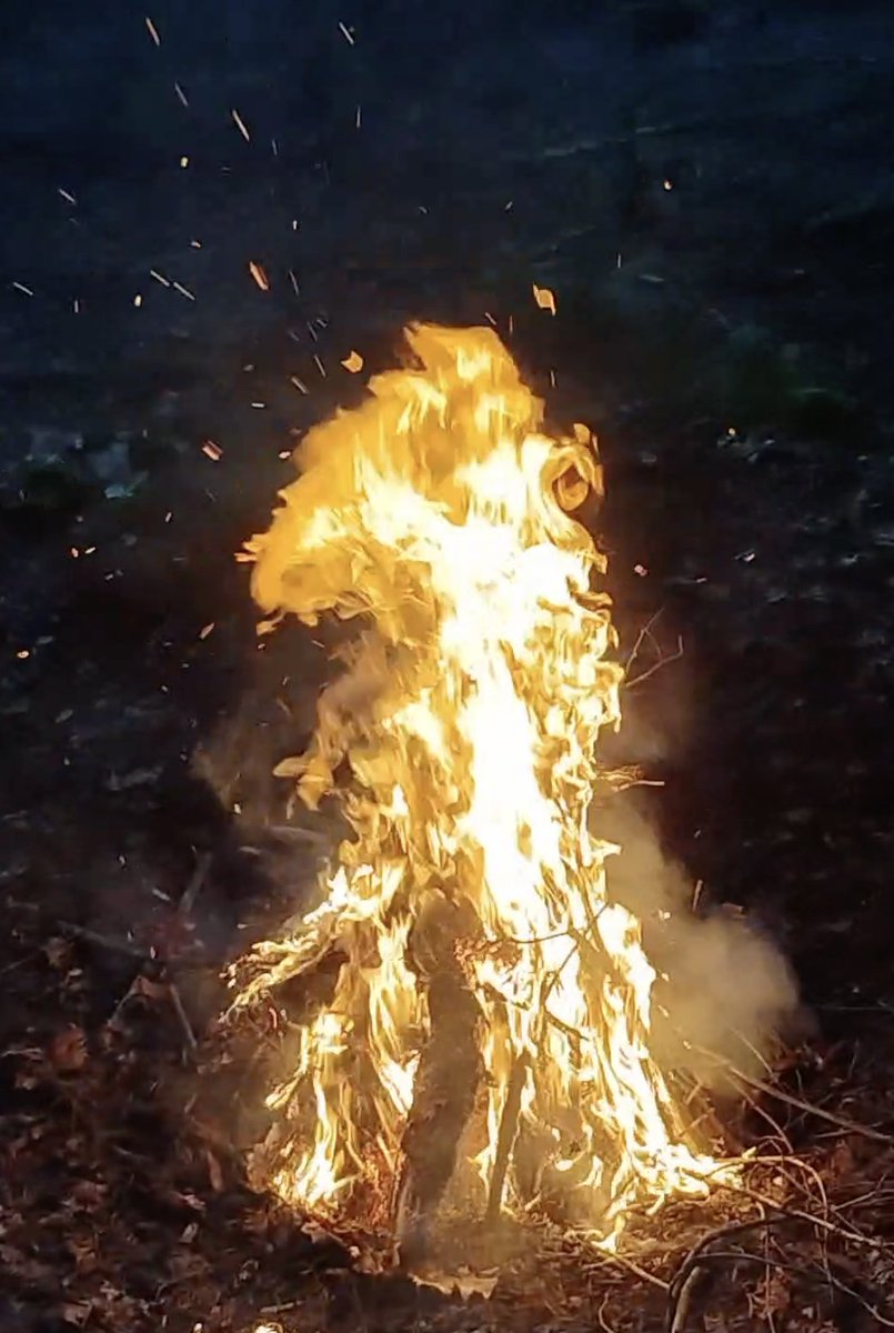 UltraBonfires's tweet photo. Bonfire Beast. 🔥🐺 https://t.co/AImBfAd0E4