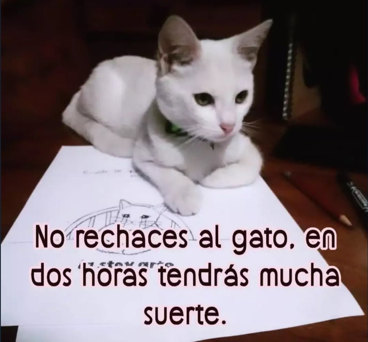 skereunpesado's tweet photo. https://t.co/R11fYhKh6W