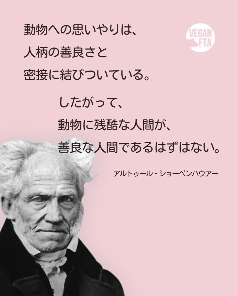 rsg_animals's tweet photo. @michihiro_says @misaqueen889 https://t.co/R3y1DfzXkI
