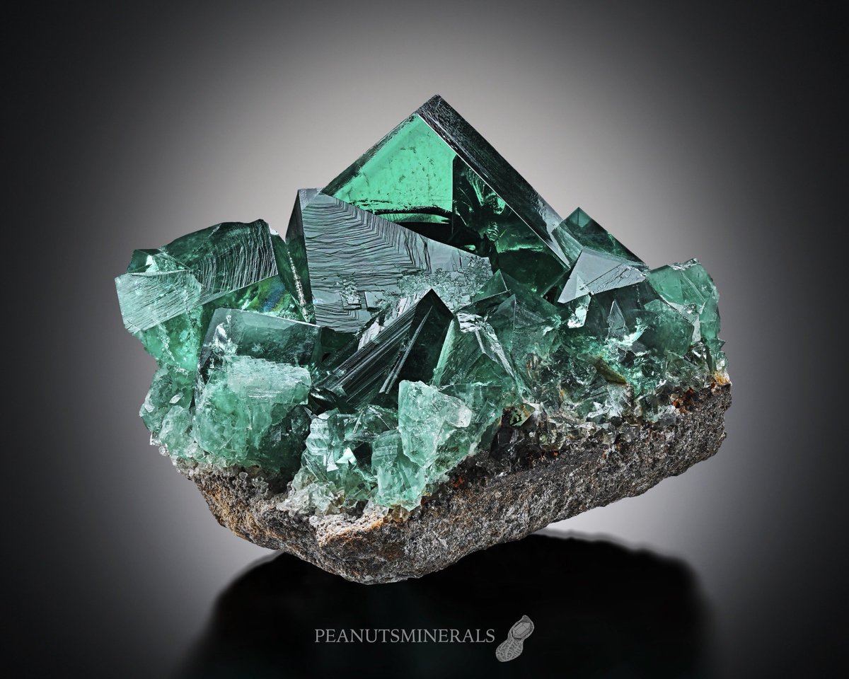 peanutsminerals's tweet photo. Fluorite

Jewel Box Pocket, Rogerley Mine, Rogerley Quarry, Frosterley, Weardale, North Pennines, Country Durham, England, UK

Smal Cabinet size

No. 541 X

BRUTUS珍奇鉱物3
070ページ掲載標本

NFS

#peanutsminerals #鉱物 https://t.co/QIUvzgPjmd